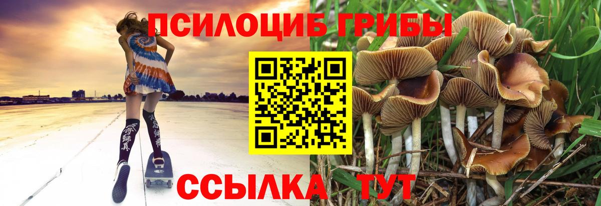 Псилоцибиновые грибы Psilocybine cubensis Янаул