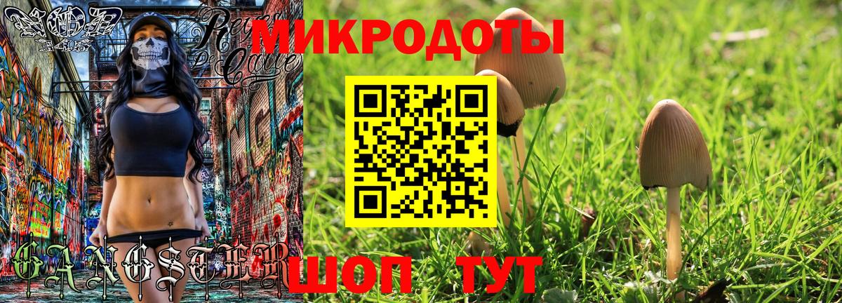 Псилоцибиновые грибы Psilocybe  Вход с VPN  Янаул  Галлюциногенные грибы мухоморы 